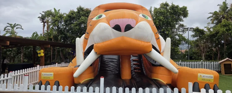 parco-estivo-mister-alex-(14)