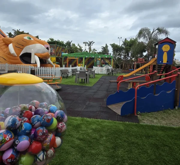 parco-estivo-mister-alex-(36)